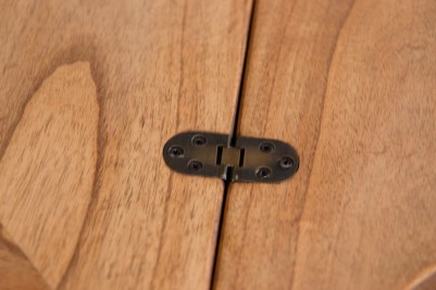 close-up-of-leave-hinge